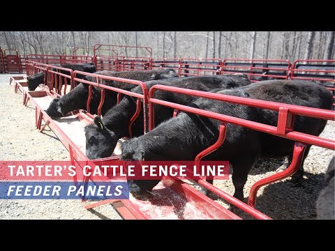 Tarter S Cattle Fence Line Feeder Panels Youtube