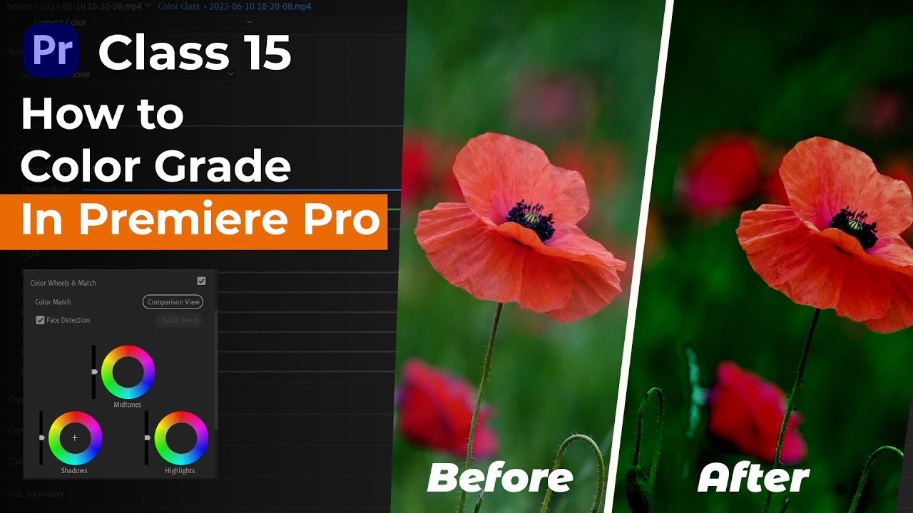 How to Color Grade In Premiere Pro 2023 - YouTube