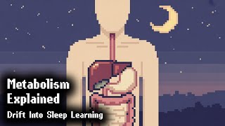 Metabolism Made Simple | Nighttime Biochemistry Lecture screenshot 5