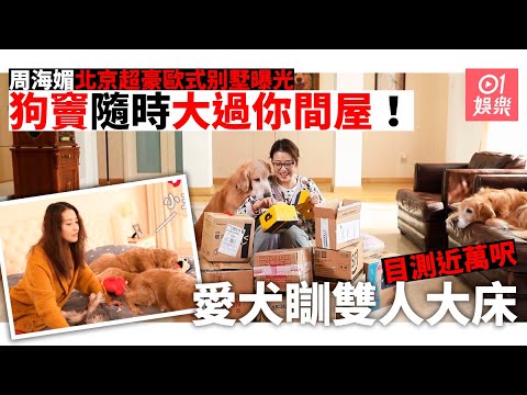 53歲周海媚北京萬呎別墅曝光　愛犬擁獨立房間瞓雙人大床