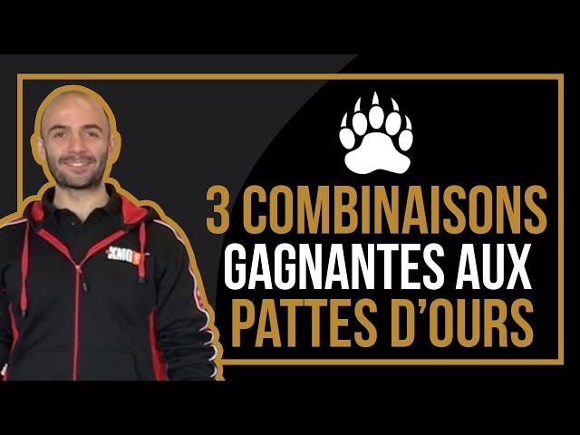 Pakka Lance aux d'entrainement ,Les paos, Pattes D'ours, Kick