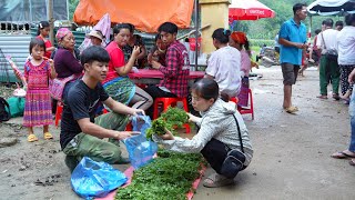 Сбор урожая молодого папоротника для продажи на рынке, садоводство | Жизнь за счет сетки в лесу