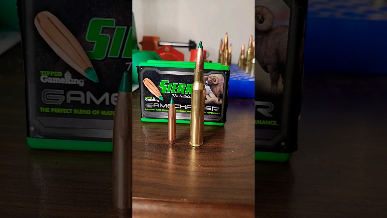 270 Winchester 175 gr GameKing