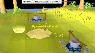 RegretScape 1# RSPS