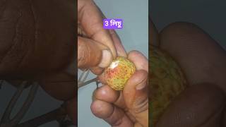 চায়না থ্রি China 3 lisu #shortvideos #viral