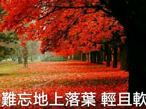 這個秋天