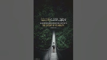 ماهر المعيقلي | تلاوه هادئه مما تيسر من أخر سورة البقره / حالات واتس اب دينيه 🌿🤍