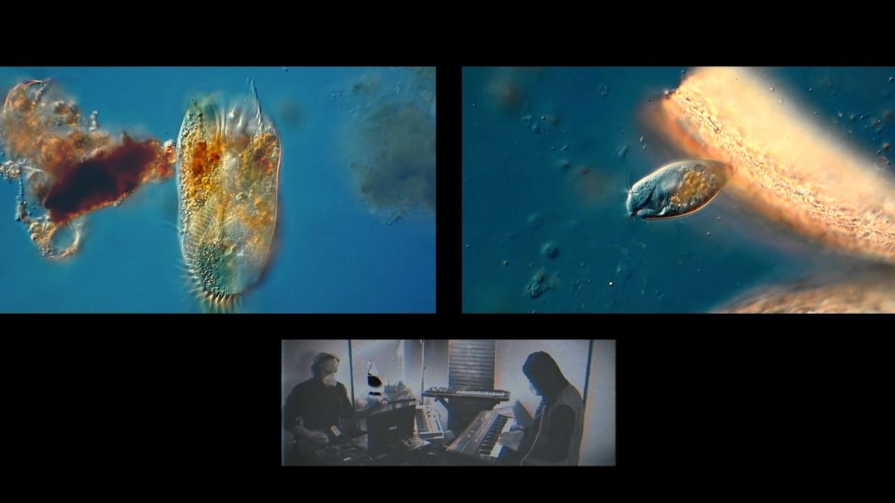 [COMPLETO] Antropotrip - Live cinema - ULTRAcinema MX