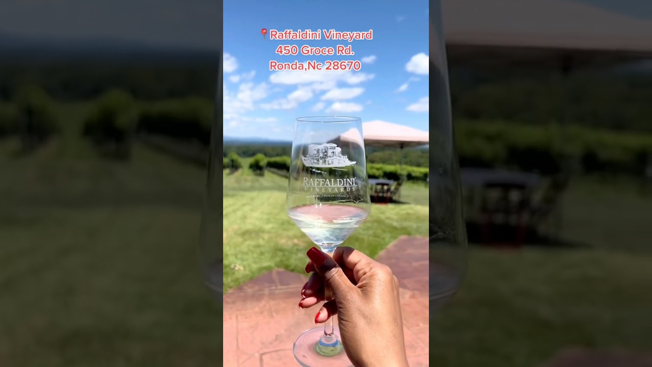 Vineyard that looks like Italy   