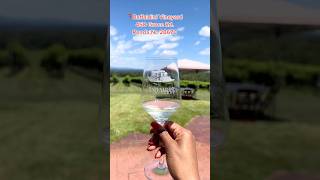 Vineyard that looks like Italy   #vineyards