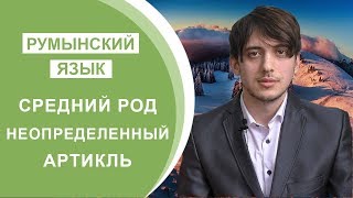 Румынский Язык. Урок 16. Средний Род. Неопределенный Артикль Румынский Язык. Урок 16. Средний Род. Неопределенный Артикль