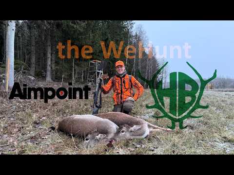 Swedish driven hunt with WeHunt - Hunter Brothers