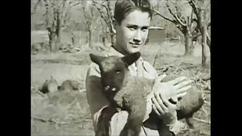 The Life of Ronald Barry Fisher (1941-1958)