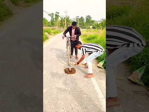 #comedy #funny #comedy#funny#shorts#reels#trending#viralshorts#video#viralshorts #viral