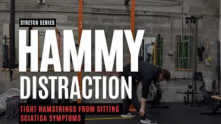 Hamstring Distraction: RELIEVE your back pain from hours of sitting!