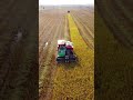 #automobile #farming #machinerychannel #ricefarming #lodingsoil #riceharvesting #agriculture