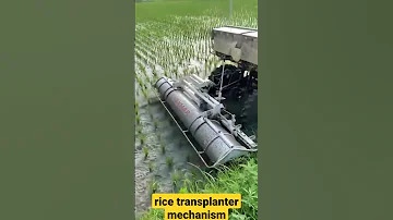 Rice Transplanter Mechanism Mini Tractor 