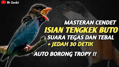NGERIIII..!!!MASTERAN CENDET ISIAN TENGKEK BUTO || SUARA TEGAS DAN TEBAL !!