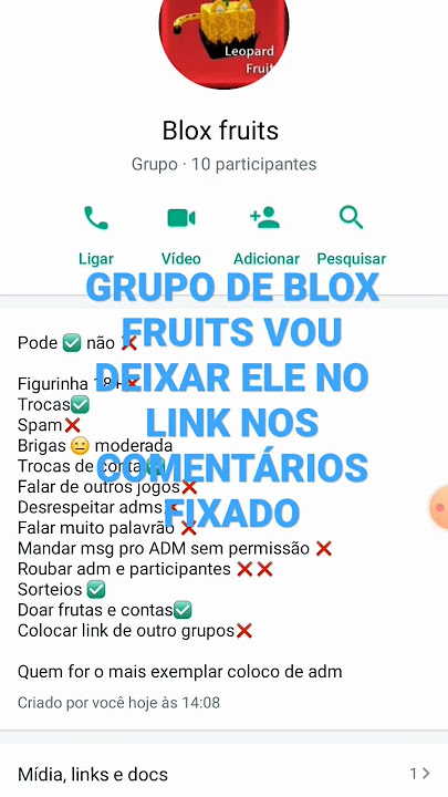 Quem quiser entra no Grupo de Blox Fruits Do Whatsapp Chama Pv