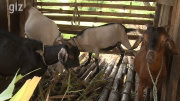 Skills for Peace. Reintegration into civilian life