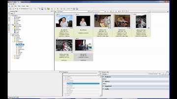 Xnview MP review