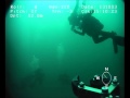 V8 Sii Divers