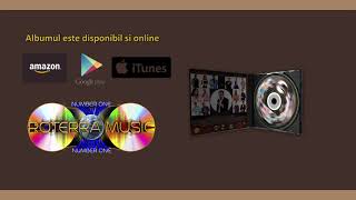 Danut Ardeleanu - Am Iubit Ce A Fost Frumos (Track)