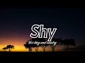 For King And Country  - Shy (Lyrics)🎵