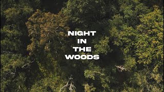 “Night In The Woods” (short horror film)