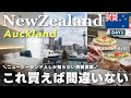 【ニュージーランドvlog】見逃したら損!10泊13日の絶景旅スタート🇳🇿渡航前に知っておくべき情報盛り沢山!オークランド編<1日目>