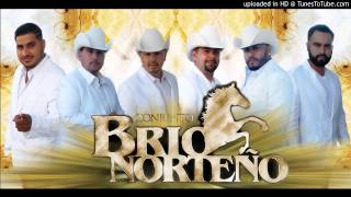Video thumbnail of "Nesesito Una Companera - Conjunto Brio Norteno"