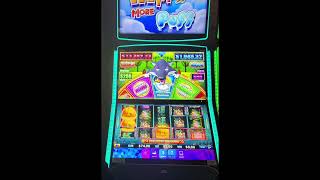 Wolfed Up A Nice Huff Bonus 🐽🐺 #casinos #slot #slotmachine #jackpot