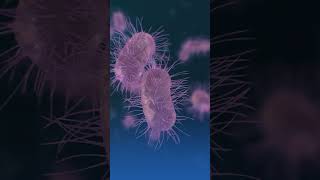 3 Best Fruits to Manage Fatty Liver Disease | Dr. Bir Singh Sehrawat