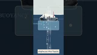What if the Bermuda Triangle isn't just a myth?
