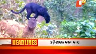 4 PM  Headlines 21 May 2018  OTV