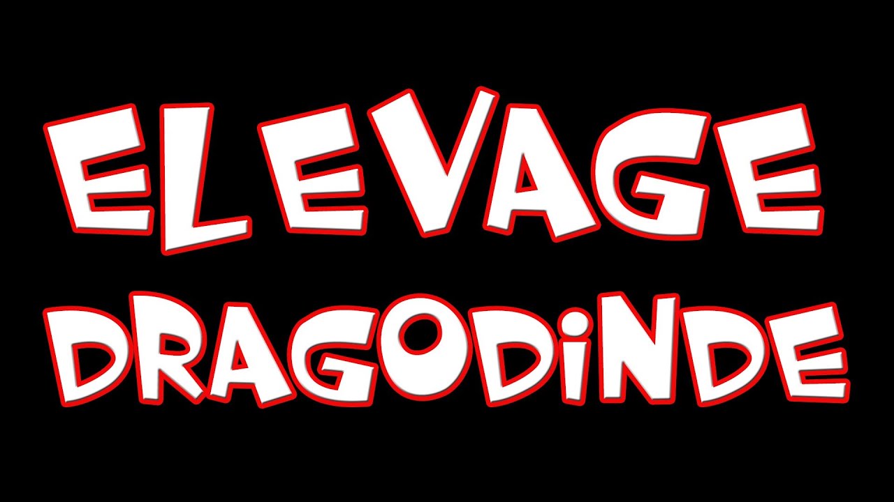 Elevage de dragodindes - Dofus - YouTube