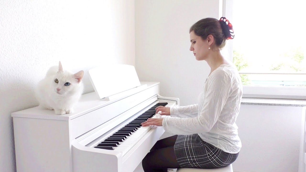 The Way – Florian Bur (Piano Cover)