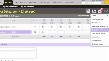 TIMESHEETS SO ADVANCED