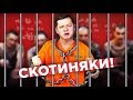 ЛЯШКА ПОСАДЯТЬ? РЕАКЦІЯ ЗЕЛЕНСЬКОГО НА БІЙКУ З ГЕРУСОМ | ЧОТКІ НОВИНИ