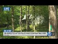 100 arrested in Tolland cockfighting operation, state police say