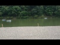 京都散策 2015-08-21~嵯峨嵐山(京都府京都市、嵯峨野・嵐山)