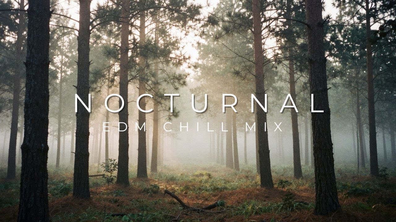 Emotional Festival Mix 2025 🎧 Uplifting Progressive House & Folk-EDM Anthems