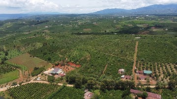 Sản xuất hữu cơ - Hướng đi bền vững cho nông nghiệp Lâm Đồng