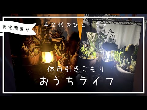 ダイソーのアウトドア商品deおうちキャンプほか「休日引きこもりLIFE」アラフォーおひとりさま