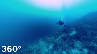 Mactan Cebu dive site "OLANGO" scuba diving look around!! 360° VR screenshot 5