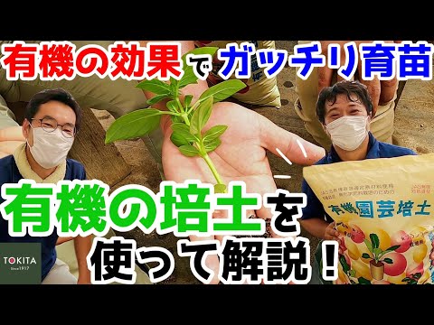 有機栽培スペイン有機農法パラデス・エン・クレスタイユ有機農業