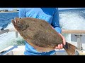 Awesome Fluke “flounder” Fishing to 7lbs out of Belmar NJ