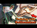 Professionally Training with Venomous Reptiles!