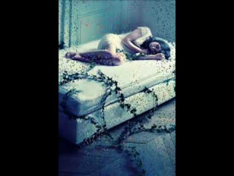 يا حبي الاول ولاخير راشد الماجد وعبدالمجيد