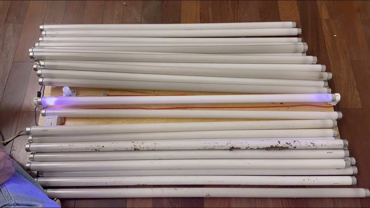 Testando lâmpadas fluorescentes e outras #15: Luz negra 30W T8